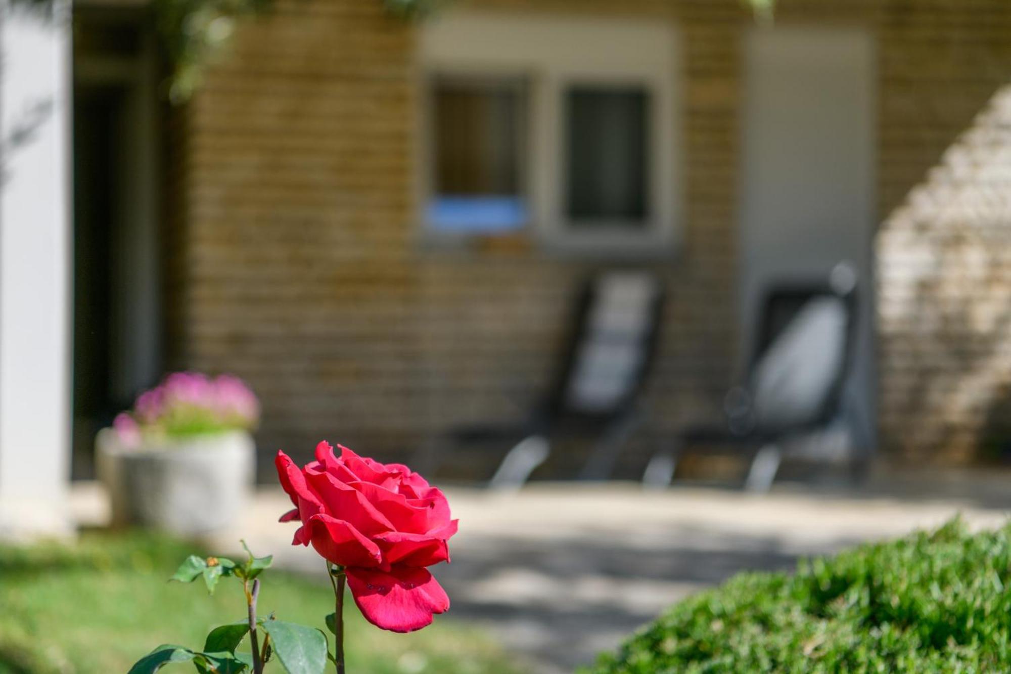 Apartament Krajcar Banjole Zewnętrze zdjęcie